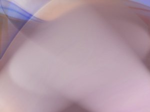 开源治理
