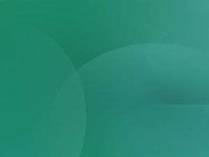 风险控制